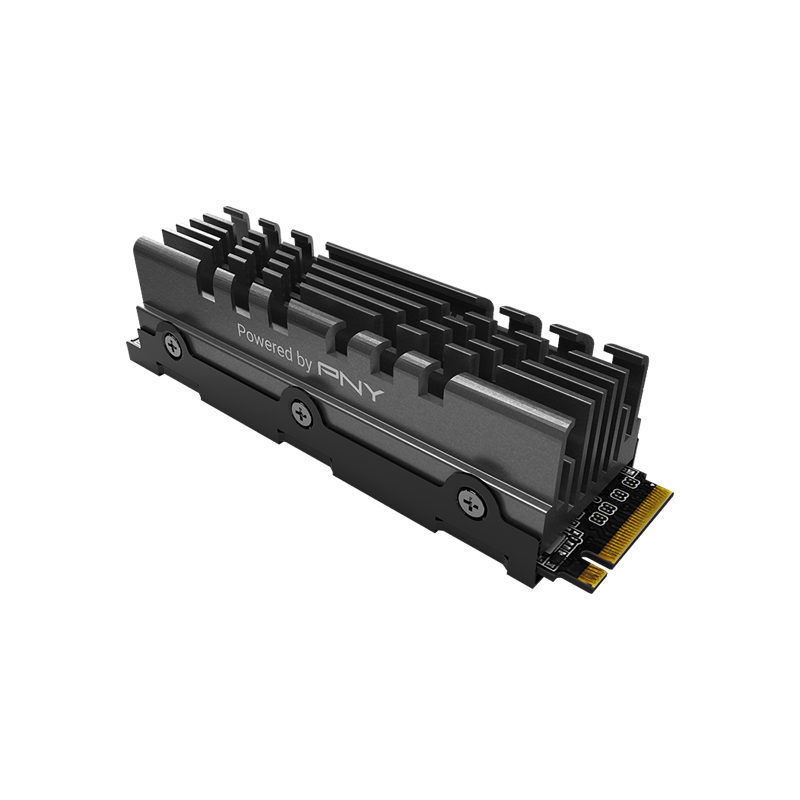 SSD interne M.2 NVMe PNY CS1030 (‎M280CS1030-1TB-RB) - 1 To, NVMe